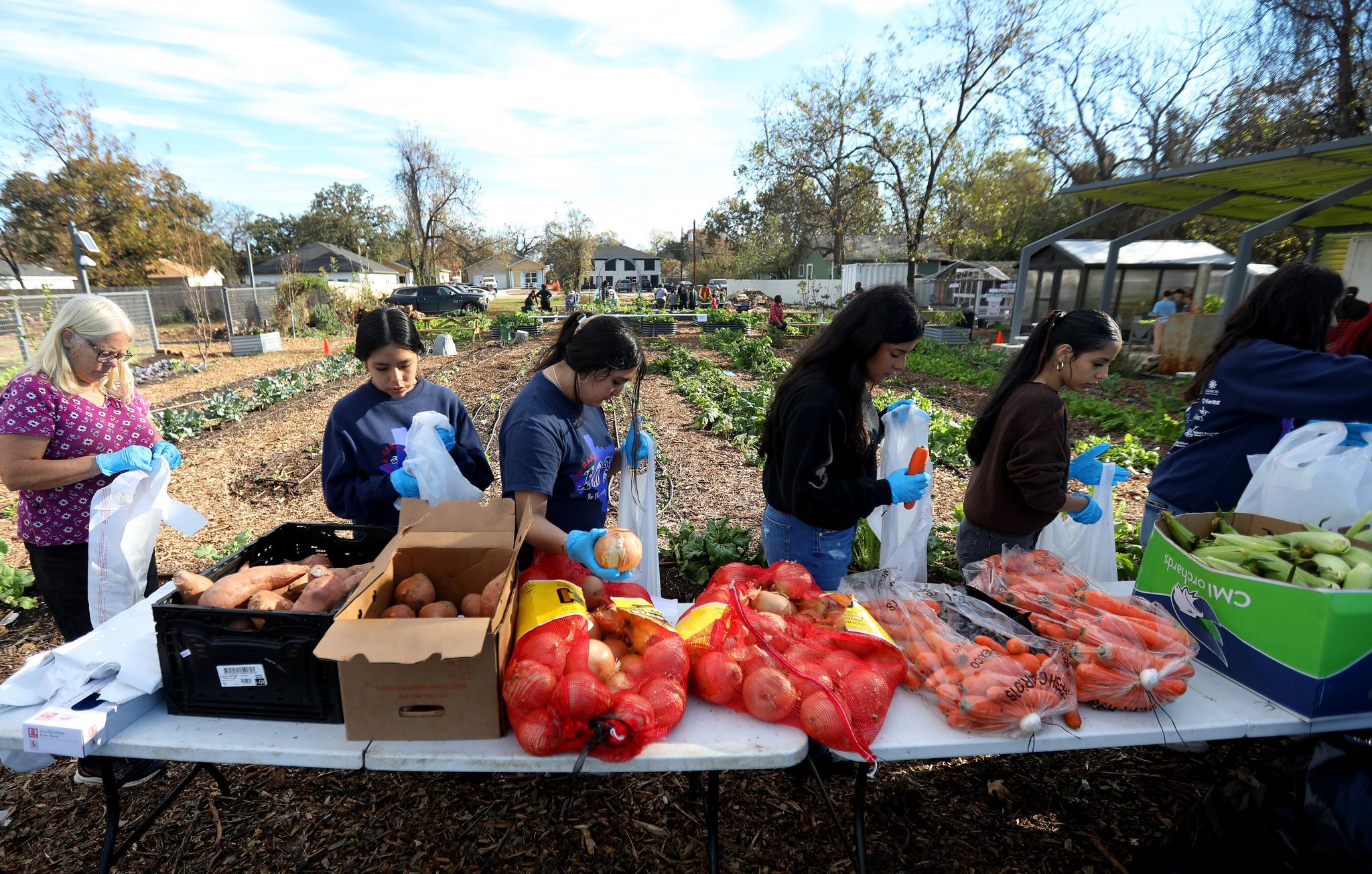 To strengthen North Texas’ food system, Dallas group turns to healthcare solution