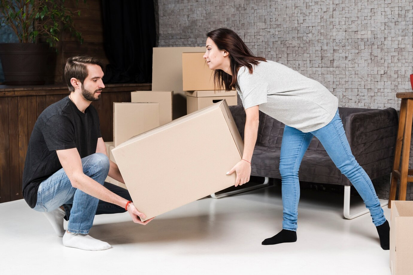 Moving with Ease: Why Dunedin Movers Experts is Your Top Choice
